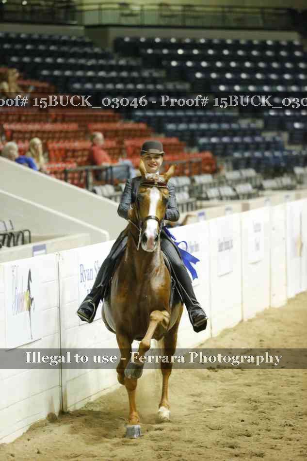 Proof 15BUCK_03046