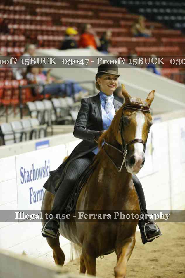 Proof 15BUCK_03047