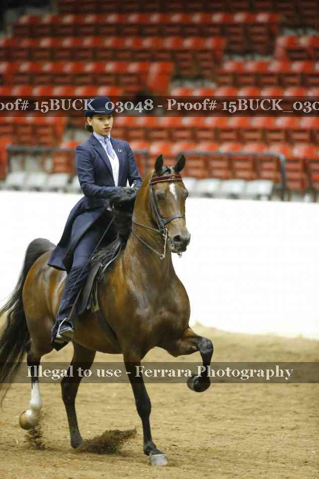 Proof 15BUCK_03048