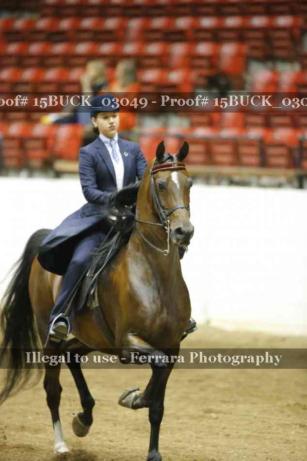 Proof 15BUCK_03049
