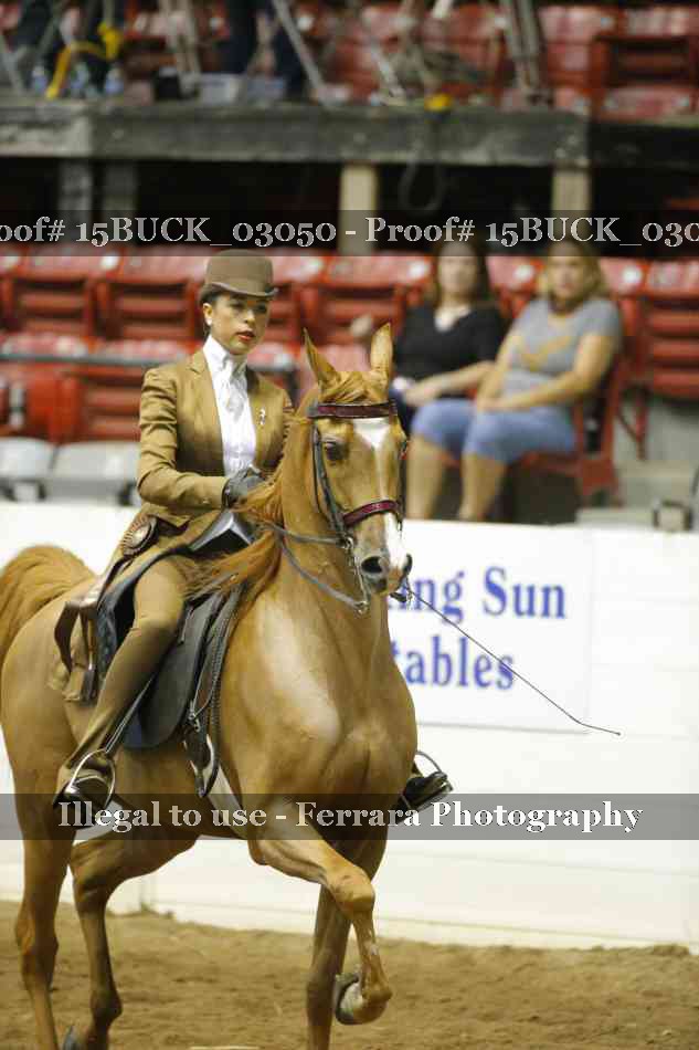 Proof 15BUCK_03050