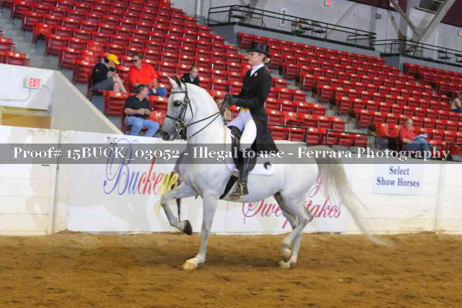 Proof 15BUCK_03052