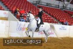 15BUCK_03052 proof