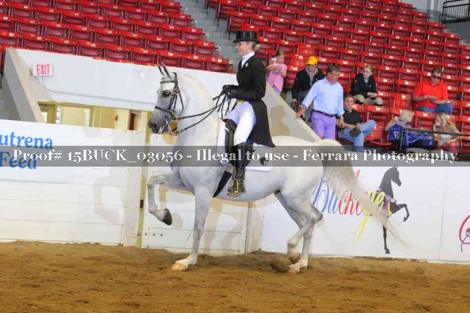 Proof 15BUCK_03056