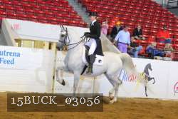 15BUCK_03056 proof