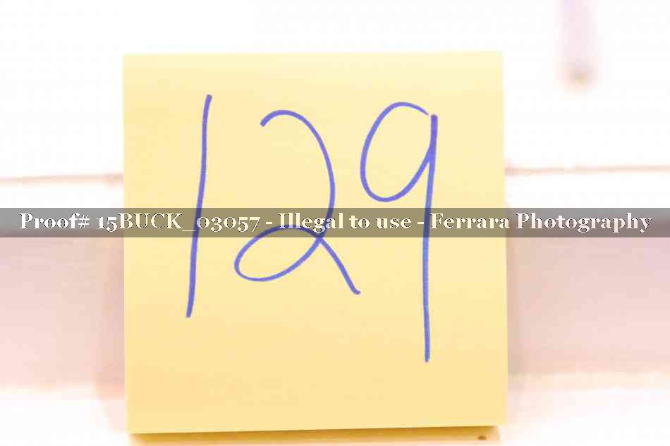 Proof 15BUCK_03057
