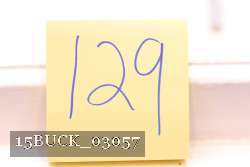 15BUCK_03057 proof