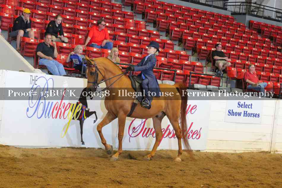 Proof 15BUCK_03058