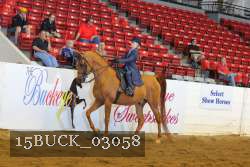 15BUCK_03058 proof