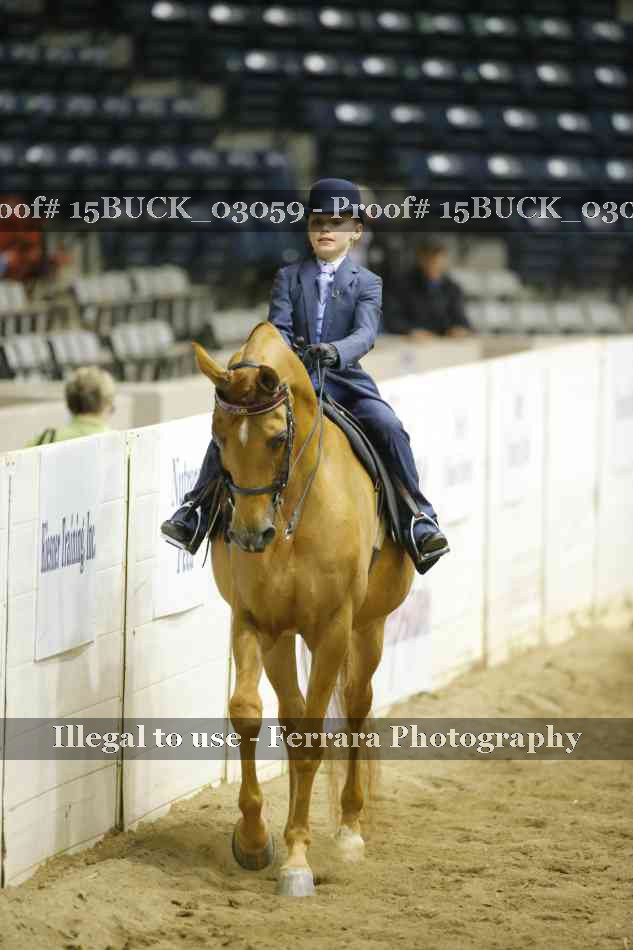 Proof 15BUCK_03059