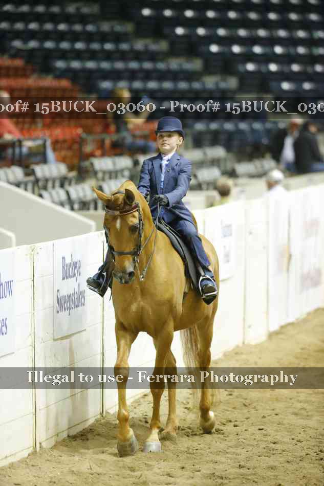 Proof 15BUCK_03060