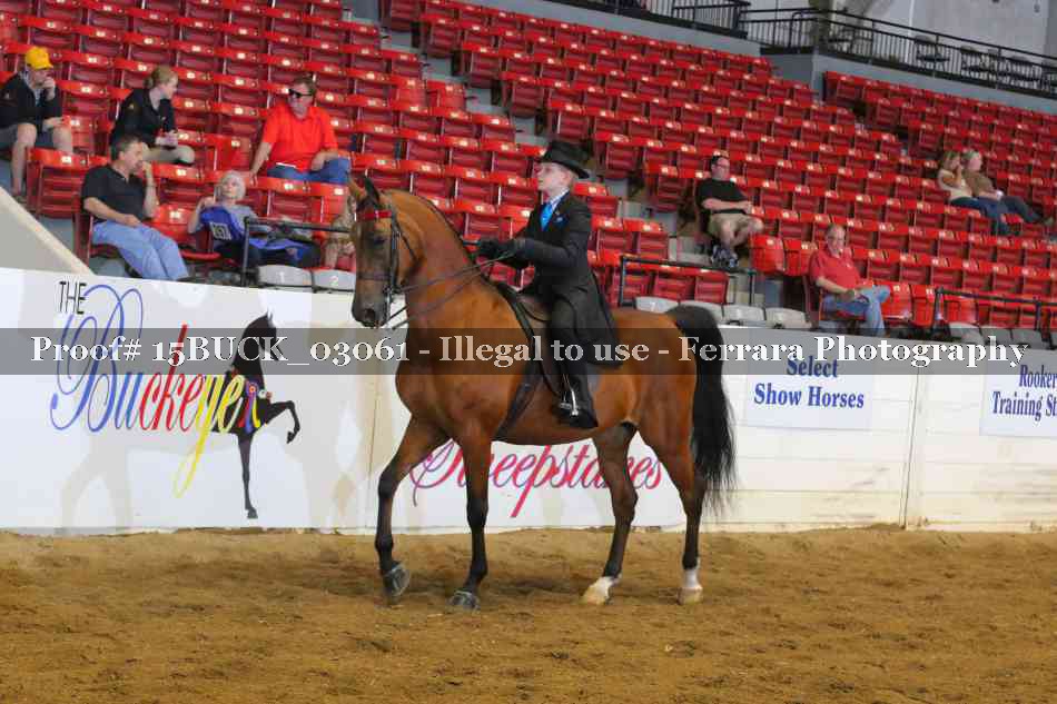 Proof 15BUCK_03061