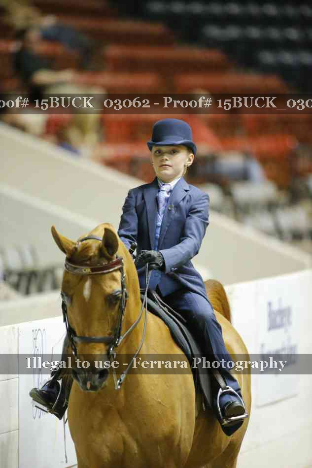 Proof 15BUCK_03062