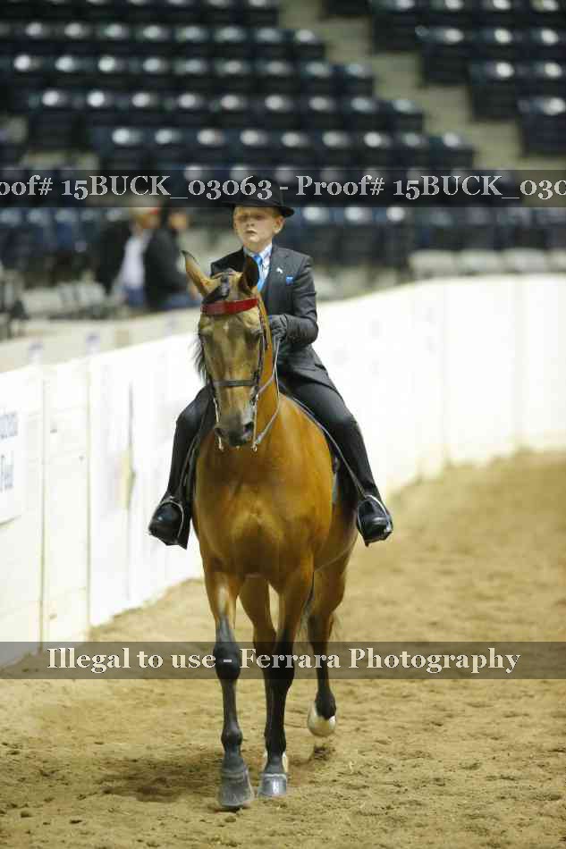 Proof 15BUCK_03063