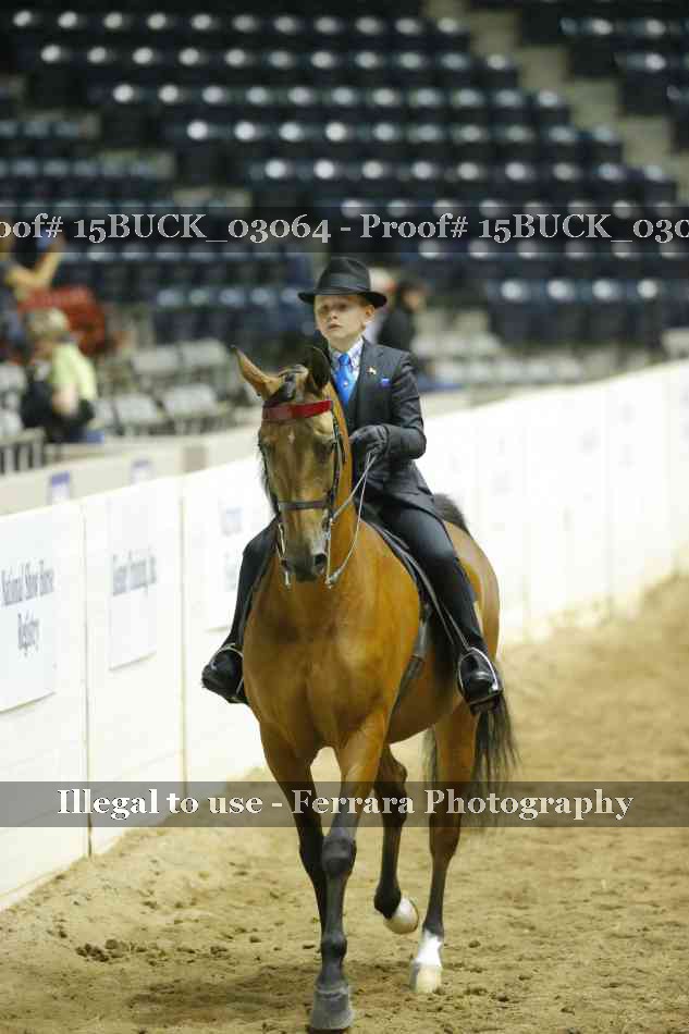 Proof 15BUCK_03064