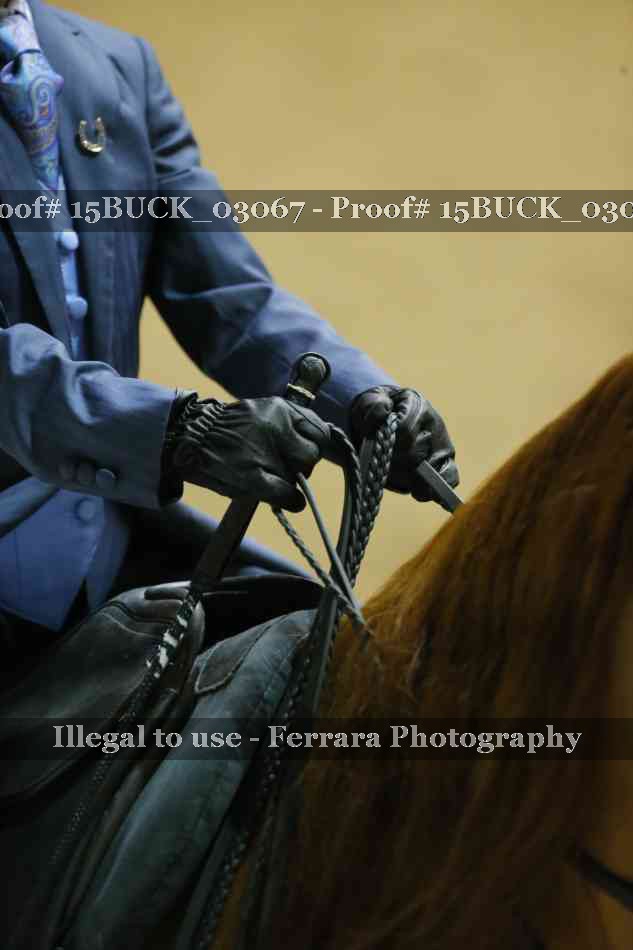 Proof 15BUCK_03067