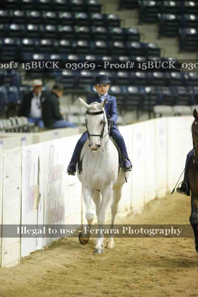 Proof 15BUCK_03069