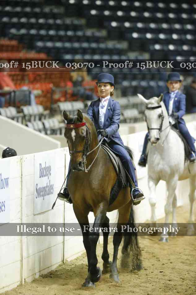 Proof 15BUCK_03070