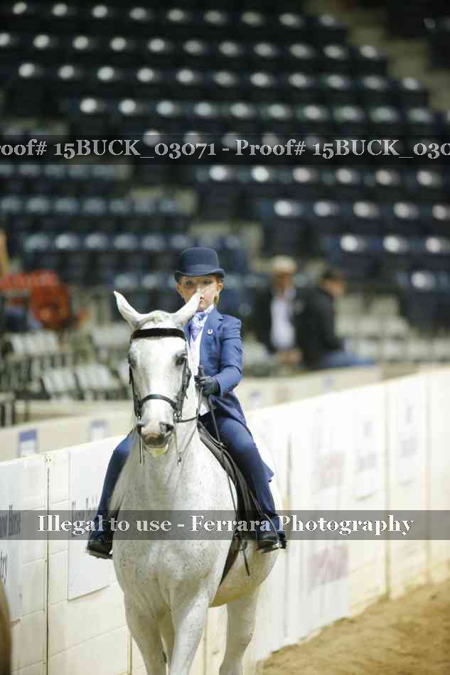 Proof 15BUCK_03071
