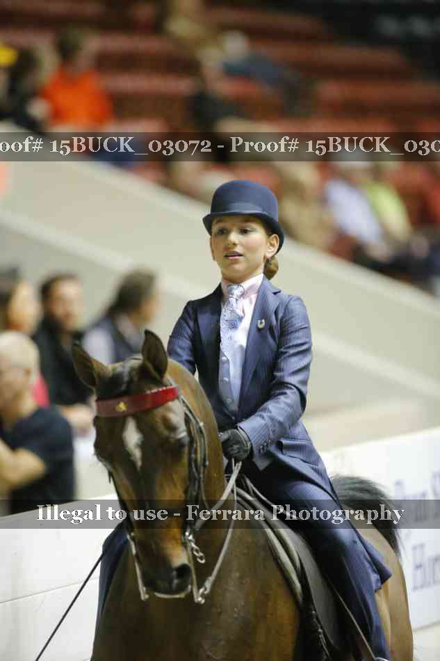 Proof 15BUCK_03072