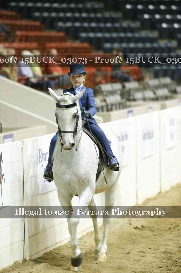 Proof 15BUCK_03073