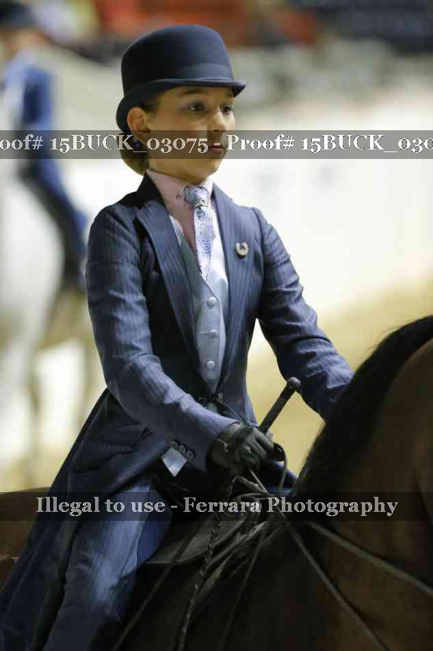 Proof 15BUCK_03075