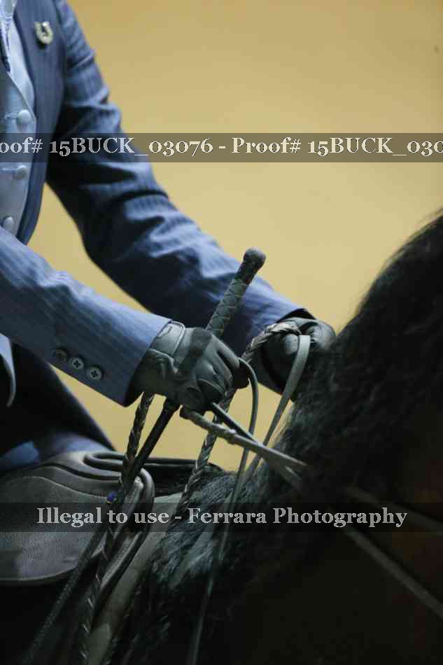 Proof 15BUCK_03076