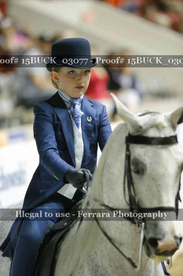 Proof 15BUCK_03077