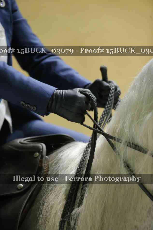Proof 15BUCK_03079