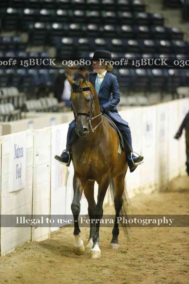 Proof 15BUCK_03080