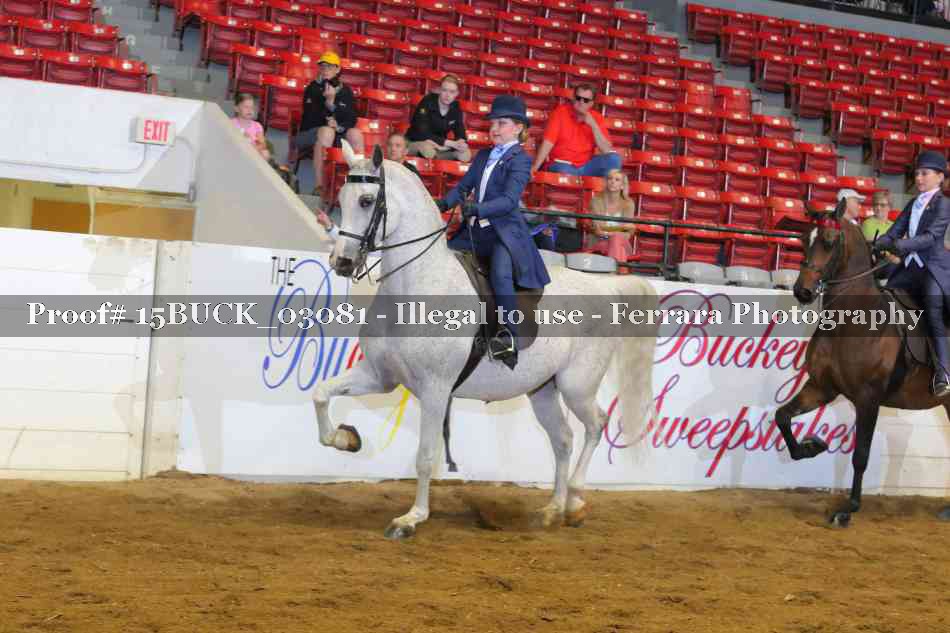 Proof 15BUCK_03081