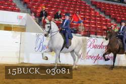 15BUCK_03081 proof