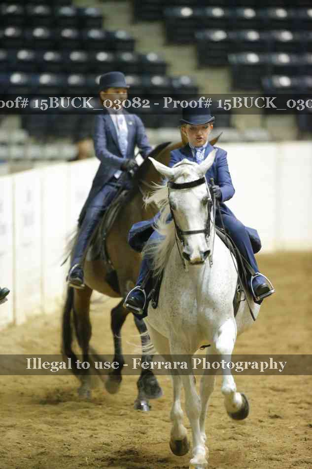 Proof 15BUCK_03082