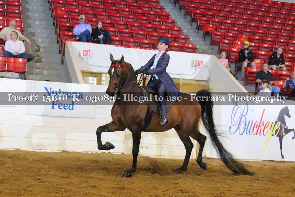 Proof 15BUCK_03083