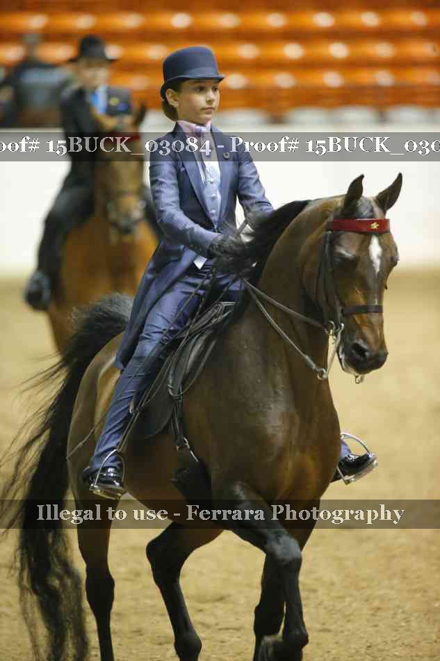 Proof 15BUCK_03084