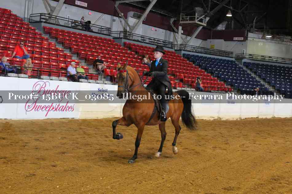 Proof 15BUCK_03085