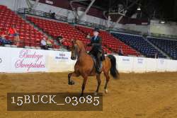 15BUCK_03085 proof