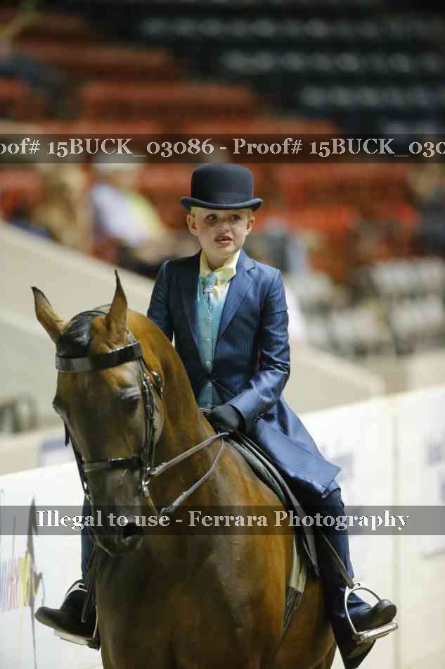 Proof 15BUCK_03086