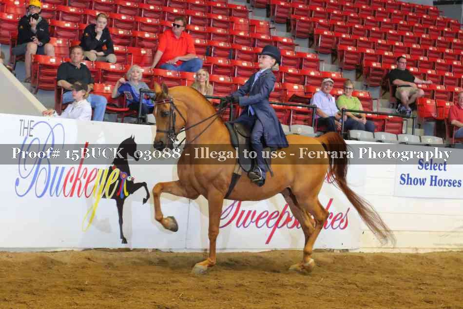 Proof 15BUCK_03088