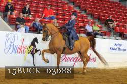 15BUCK_03088 proof