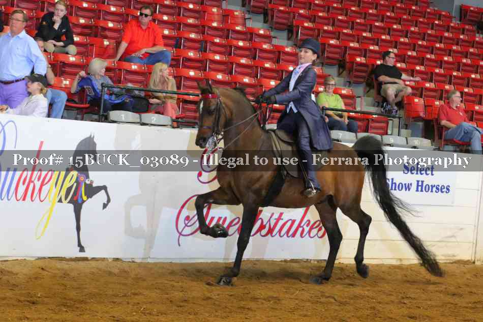 Proof 15BUCK_03089
