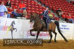 15BUCK_03089 proof