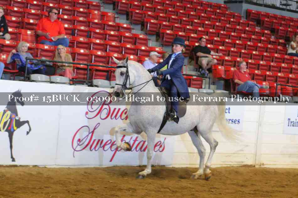 Proof 15BUCK_03090