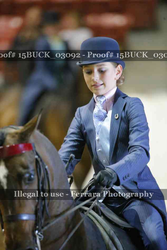 Proof 15BUCK_03092