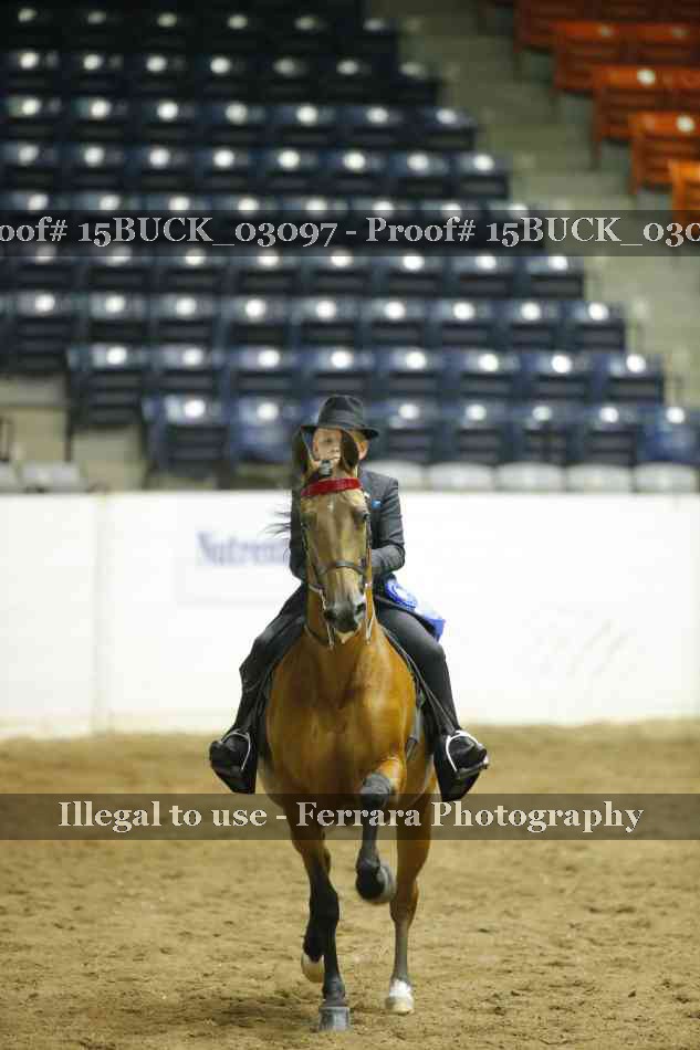 Proof 15BUCK_03097