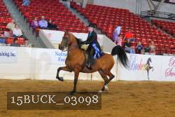 15BUCK_03098 proof