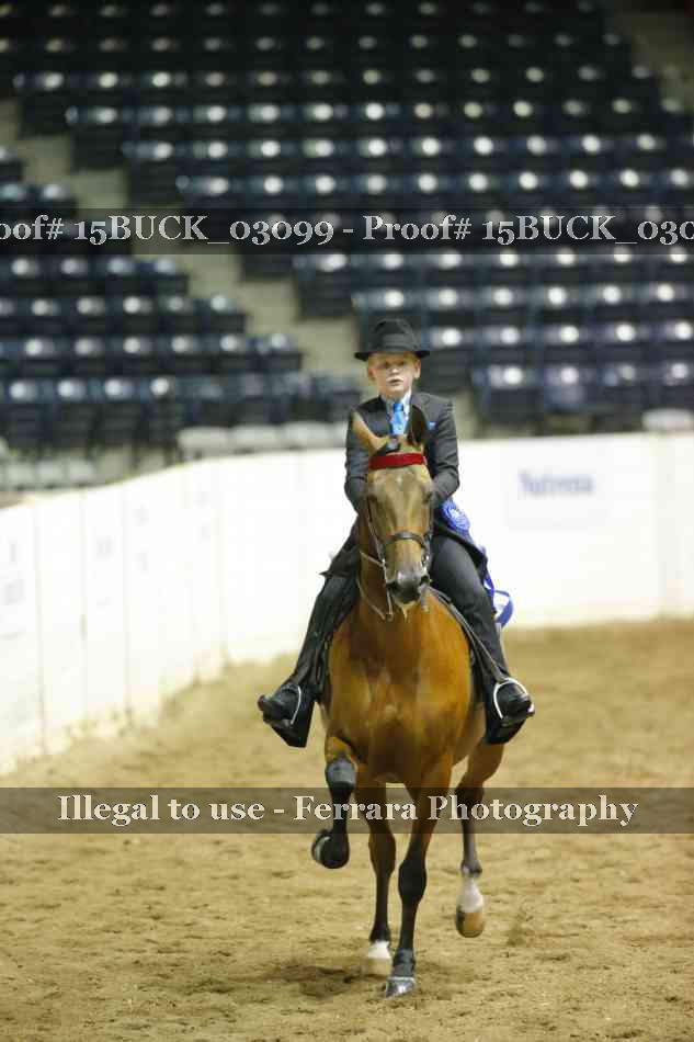 Proof 15BUCK_03099