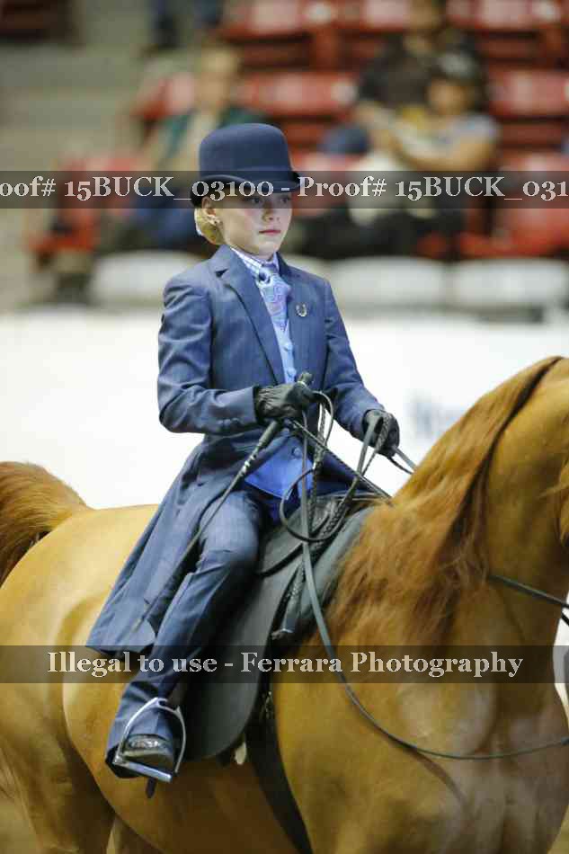 Proof 15BUCK_03100