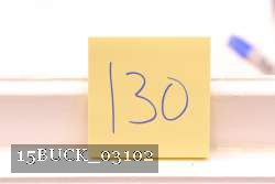 15BUCK_03102 proof