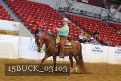 15BUCK_03103 proof